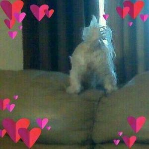 Meet your Posher, Cindy